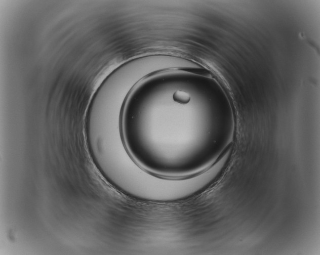 X0000099420899200805231626