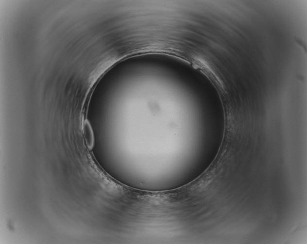 X0000099420900200805231626