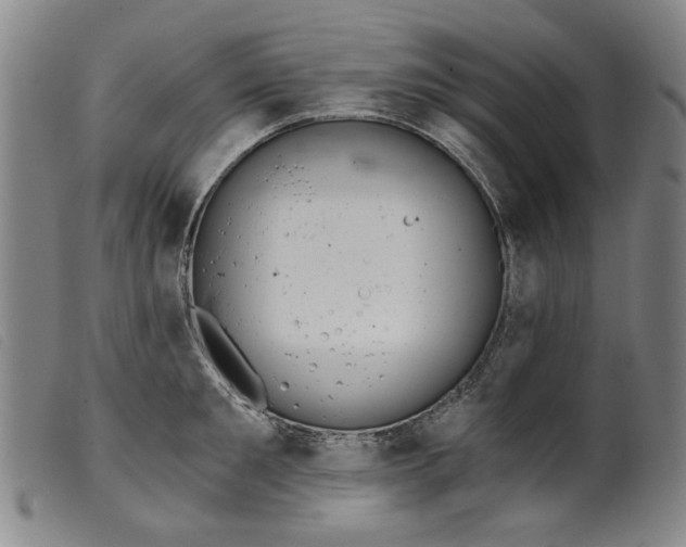 X0000099420901200805231626