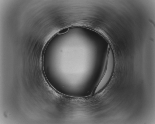 X0000099420902200805231626