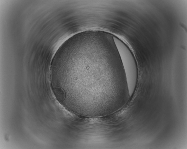 X0000099420903200805231626