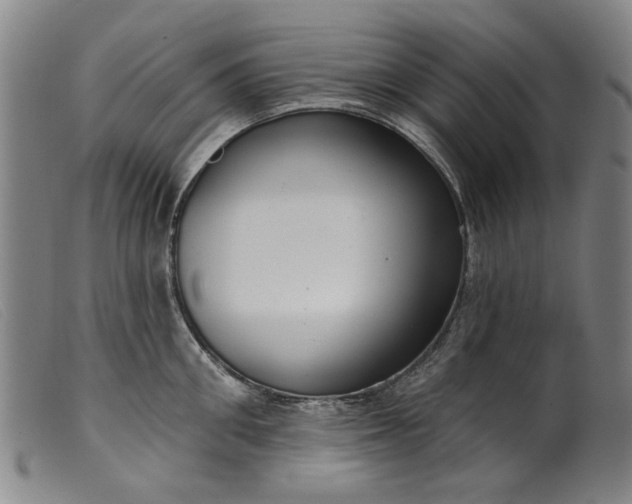 X0000099420906200805231626