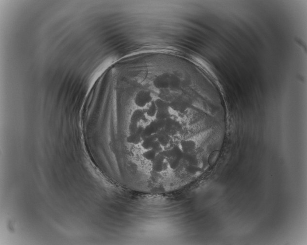 X0000099420907200805231626