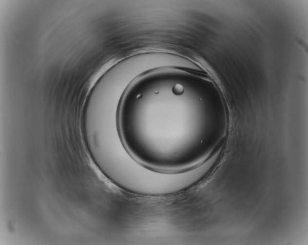 X0000099420909200805231626