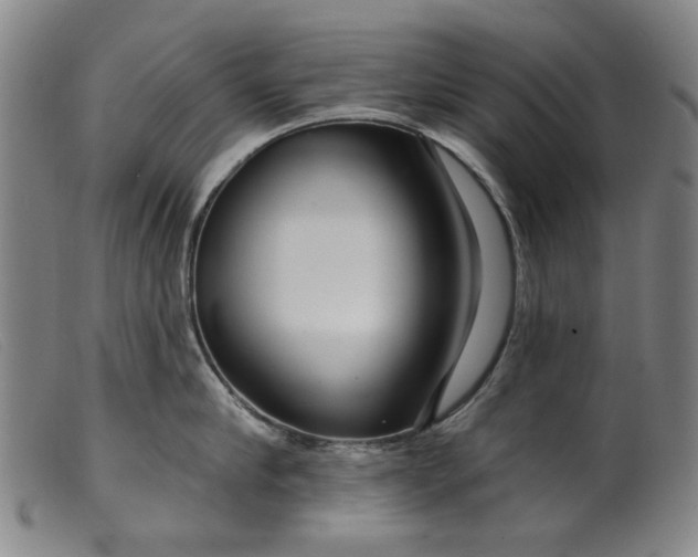 X0000099420910200805231626