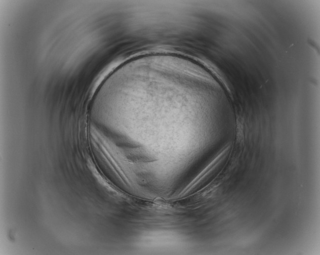 X0000099420911200805231626
