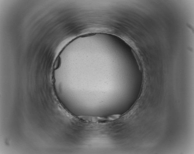 X0000099420912200805231626