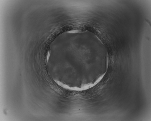 X0000099420913200805231625