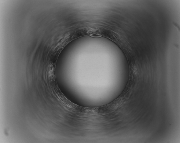 X0000099420914200805231625