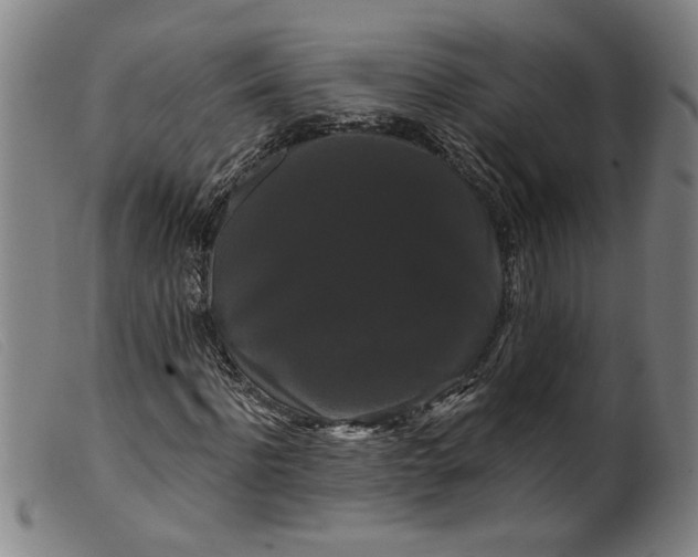 X0000099420916200805231625