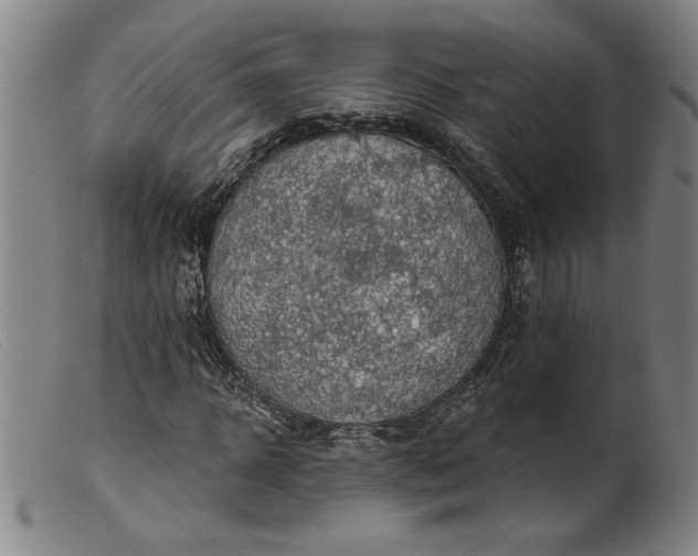 X0000099420918200805231625