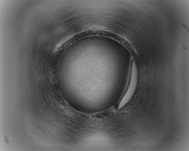 X0000099420919200805231625