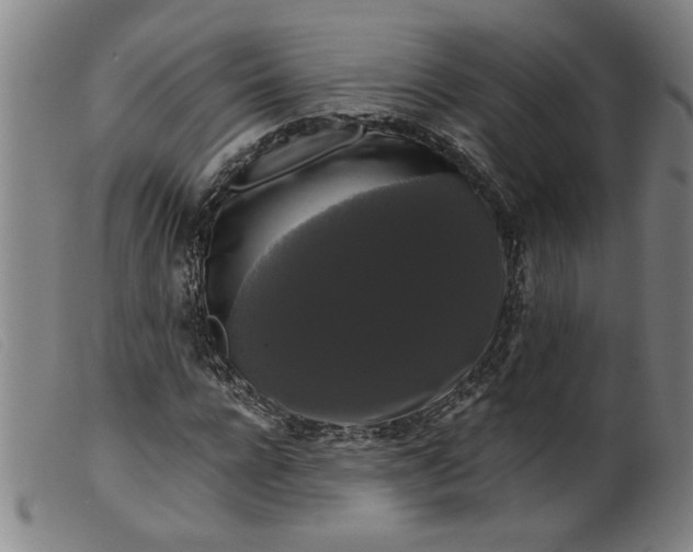 X0000099420920200805231625