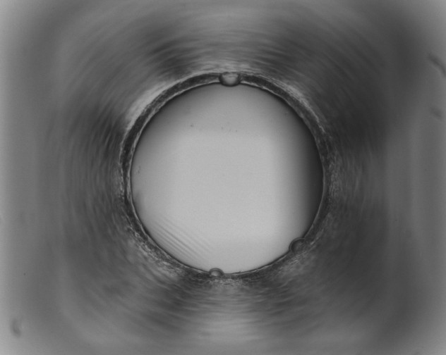 X0000099420927200805231625