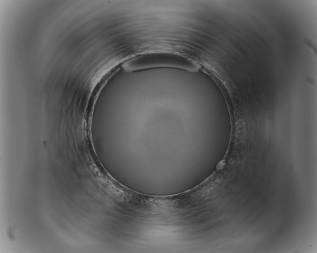 X0000099420928200805231625