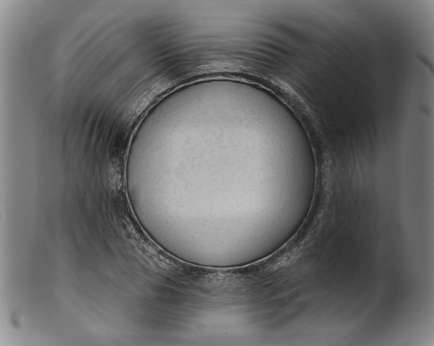 X0000099420929200805231625