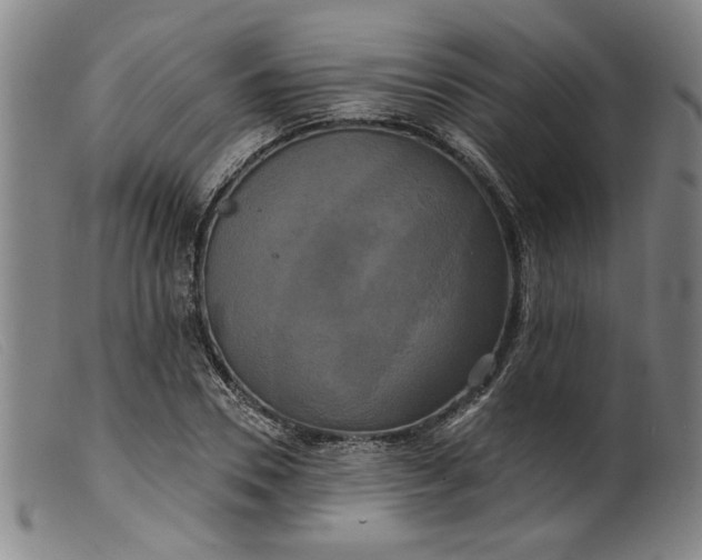X0000099420930200805231625