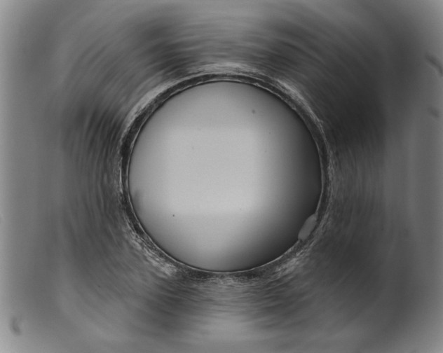 X0000099420931200805231625