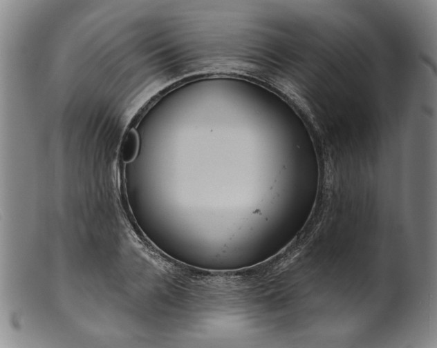 X0000099420936200805231625