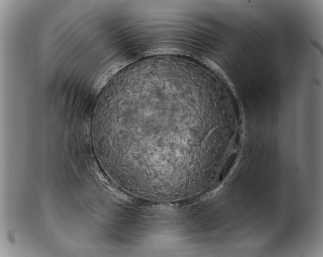X0000099420937200805231625