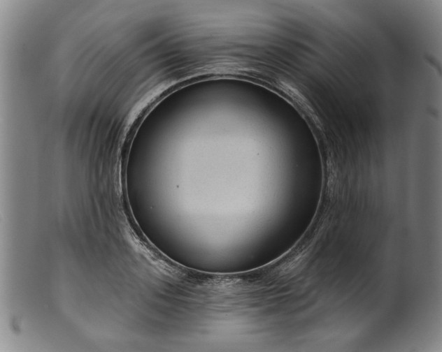 X0000099420939200805231626