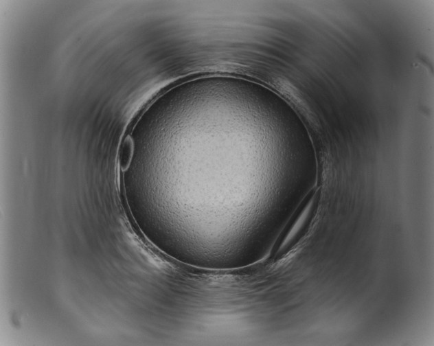 X0000099420940200805231626
