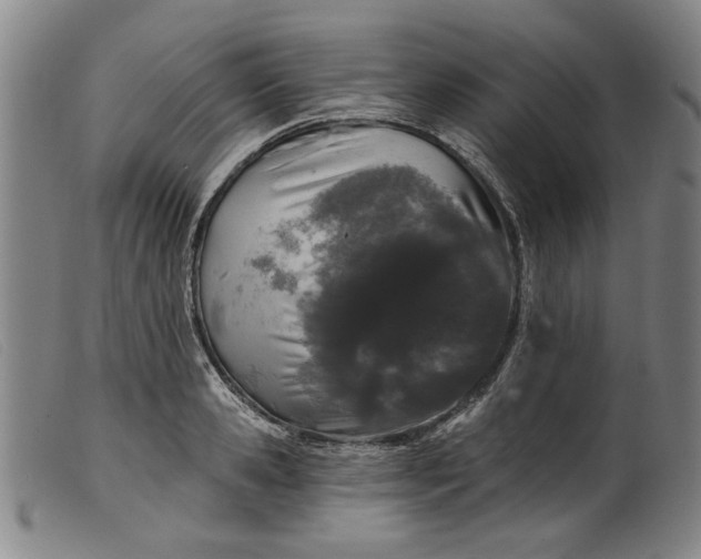 X0000099420941200805231626