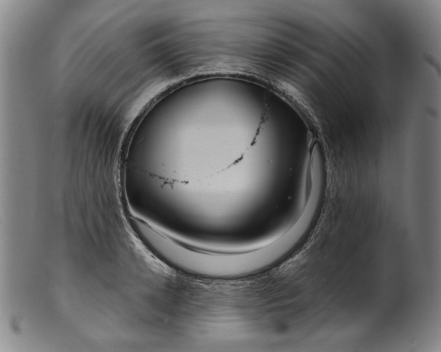 X0000099420942200805231626