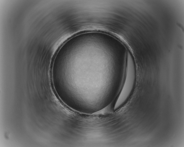 X0000099420943200805231626
