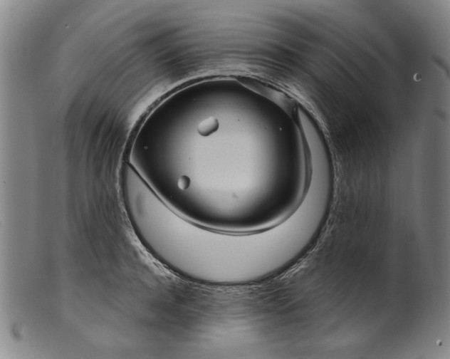 X0000099420944200805231626