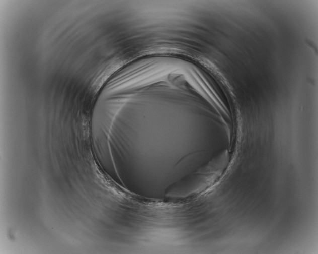 X0000099420945200805231626