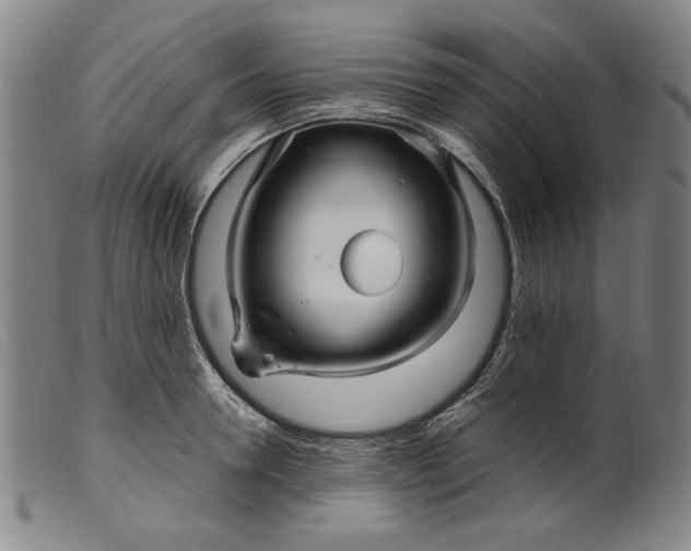 X0000099420946200805231626