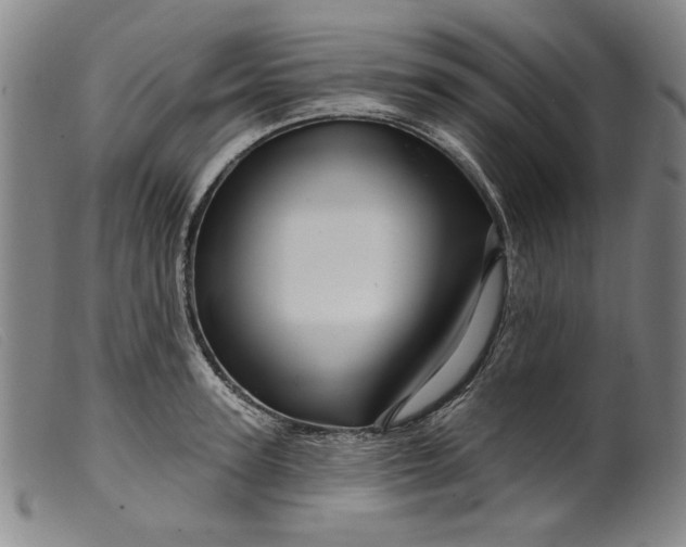 X0000099420947200805231626