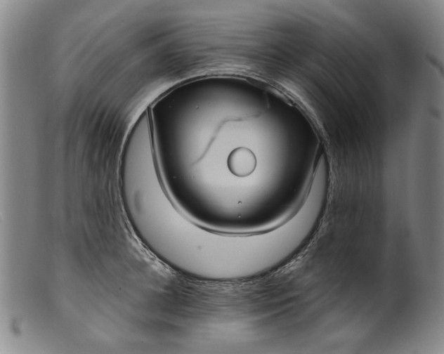X0000099420948200805231626