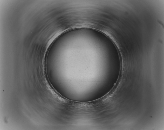 X0000099420949200805231626
