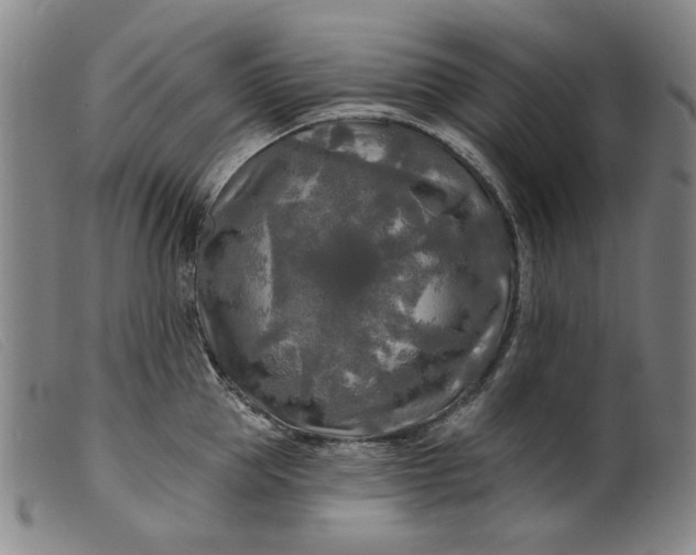 X0000099420953200805231626