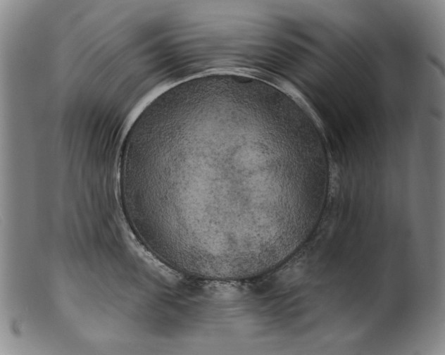 X0000099420955200805231626