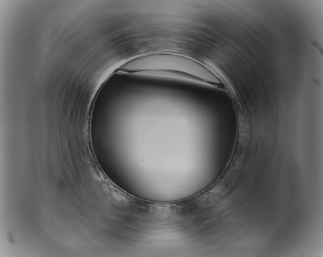 X0000099420956200805231626