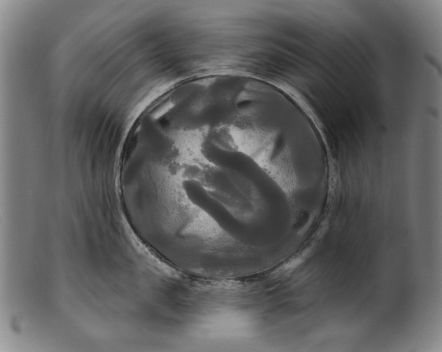 X0000099420957200805231626