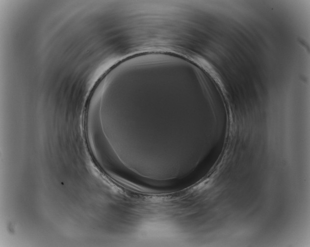 X0000099420958200805231626