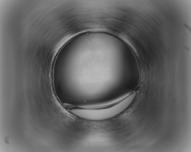 X0000099420959200805231626