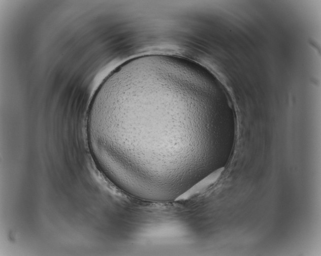 X0000099420960200805231626
