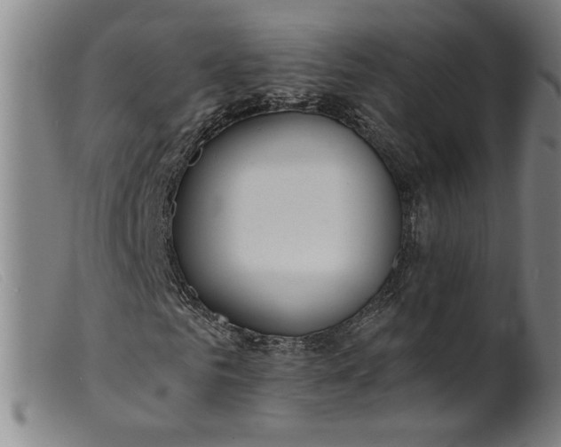 X0000099420961200805231625