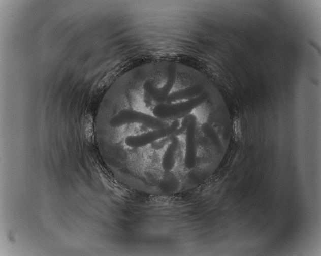 X0000099420963200805231625