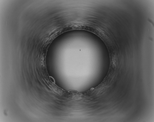 X0000099420964200805231625