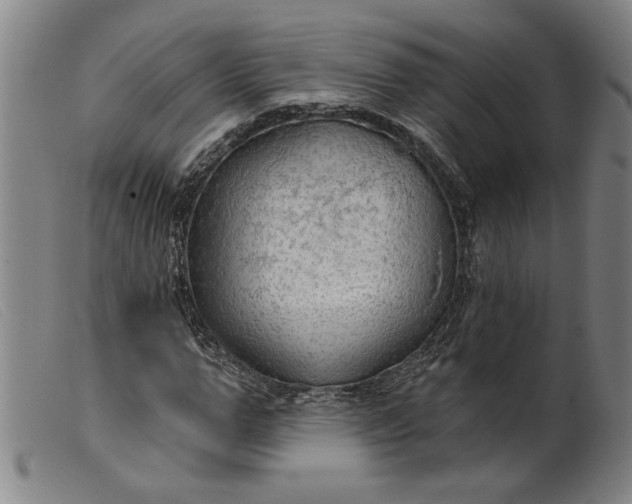 X0000099420967200805231625