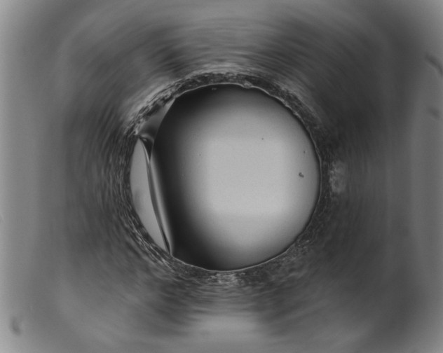 X0000099420968200805231625