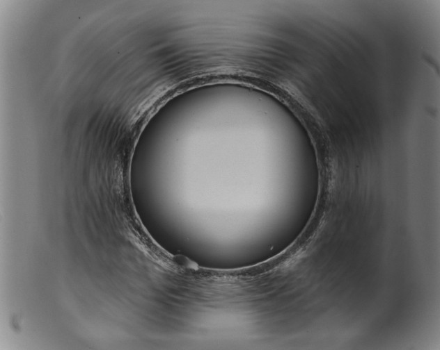 X0000099420969200805231625