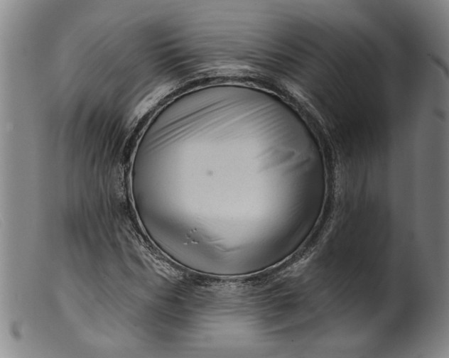 X0000099420970200805231625