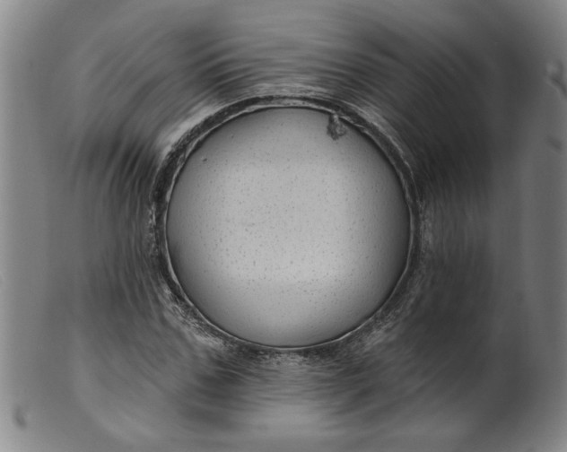 X0000099420971200805231625